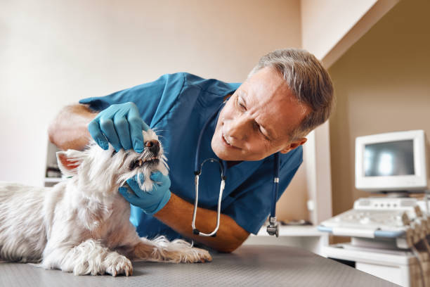 Best Emergency Wisdom Teeth Removal in Fort Irwin, CA